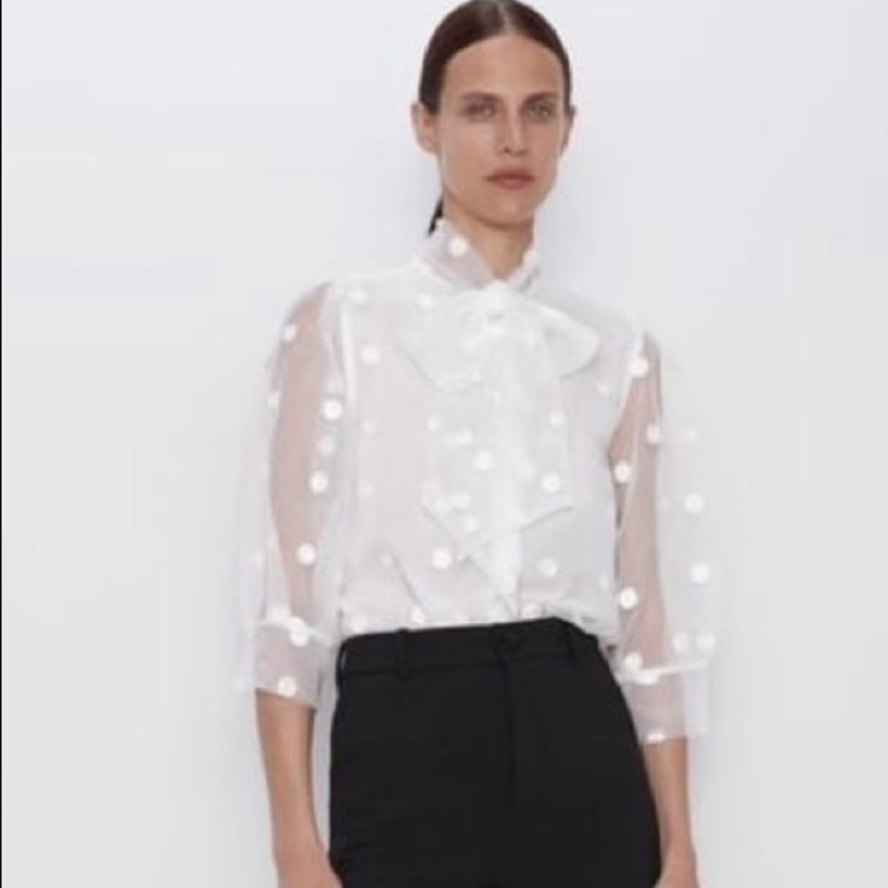 Zara Sheer Polka Dot Blouse